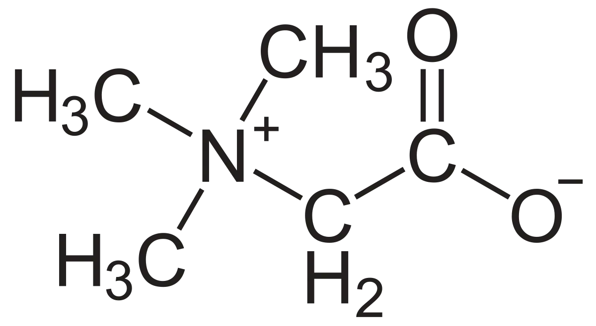 معرفی بتائین