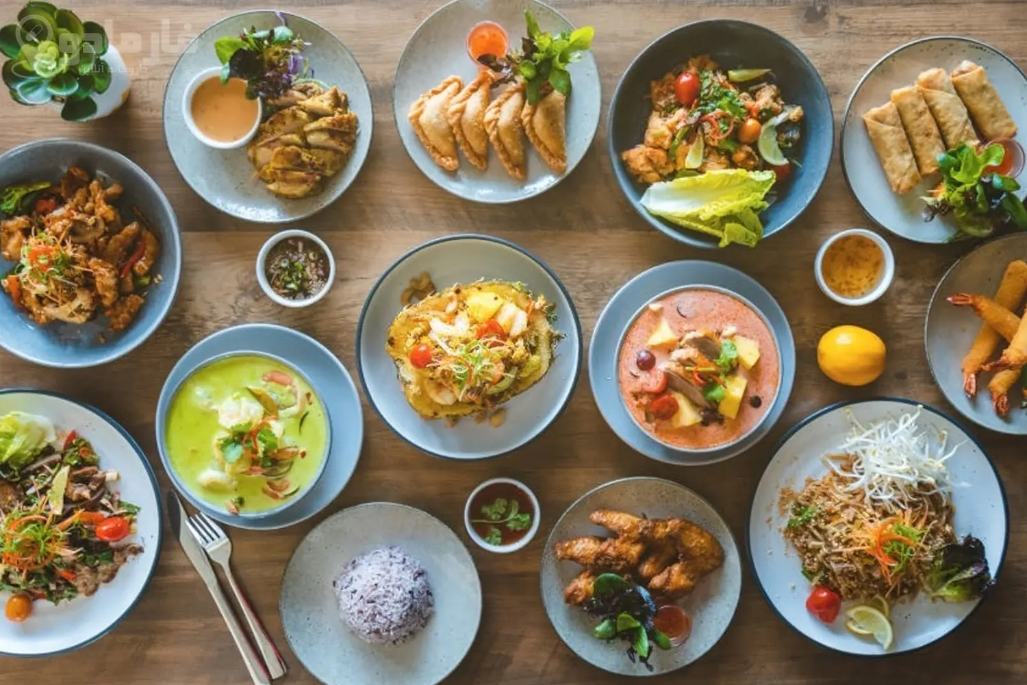 انواع رژیم گیاهخواری و محبوب‌ترین مدل آن
