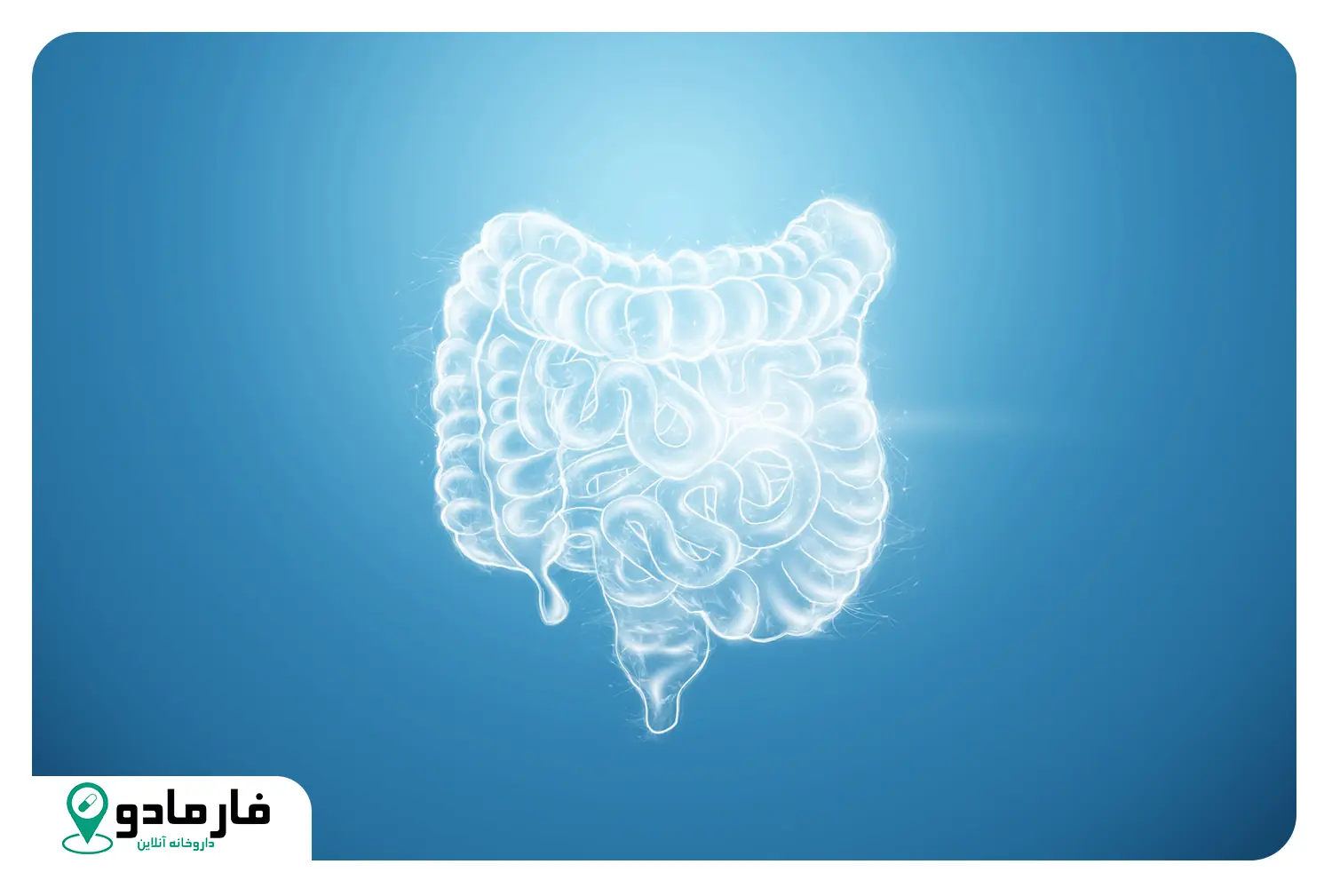 این ۴ ویتامین را فراموش نکنید؛ کلید سلامت روده شما همین‌ جاست!