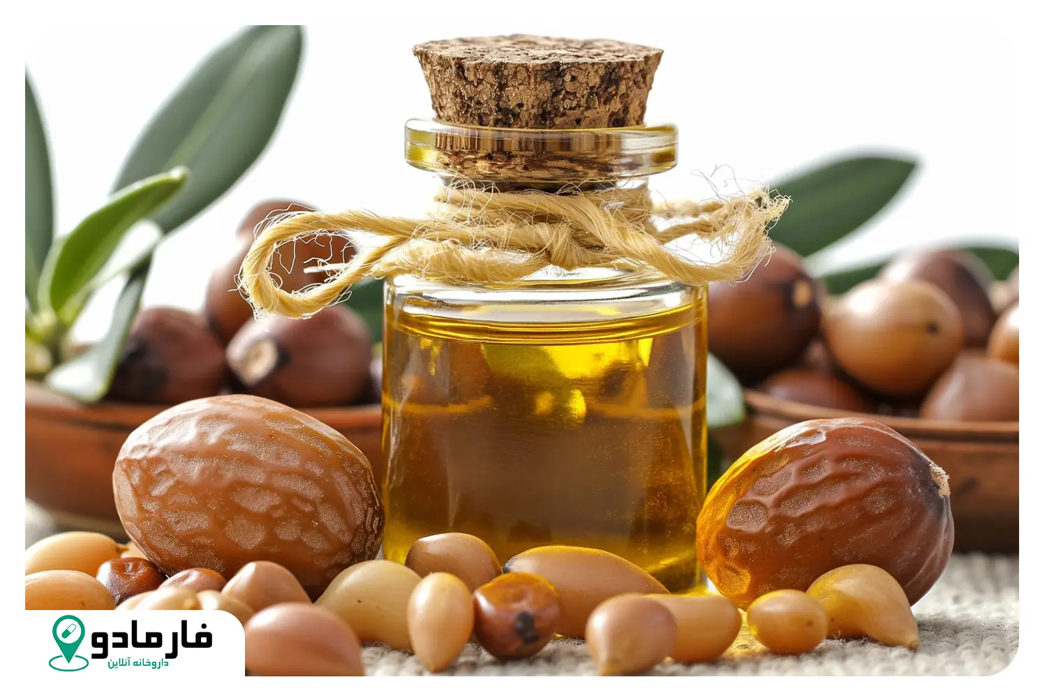 طرز استفاده روغن آرگان برای مو از ریزش مو تا موخوره
