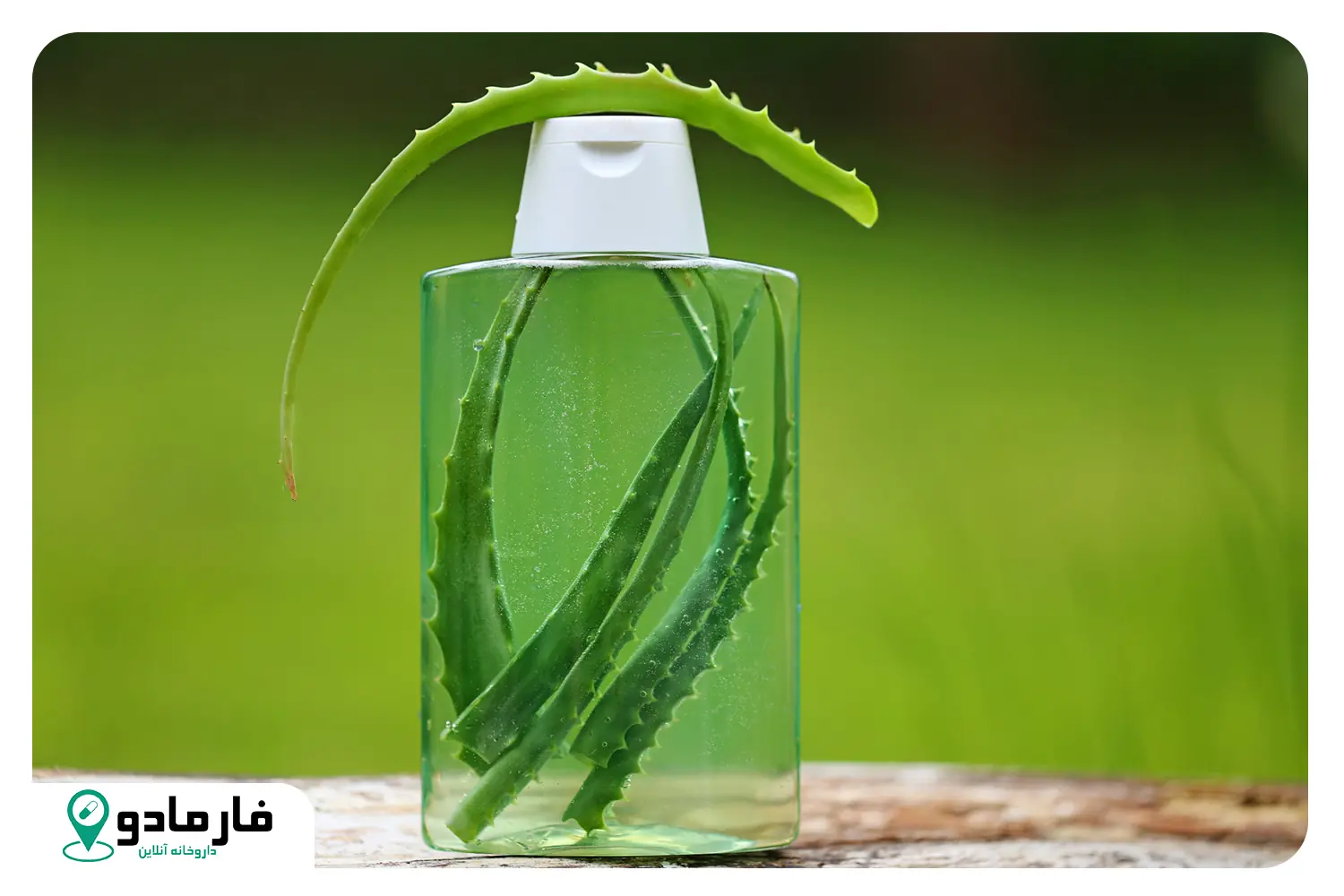 14 کاربرد حیرت‌انگیز روغن آلوئه‌ورا برای زیبایی و مراقبت از پوست و مو